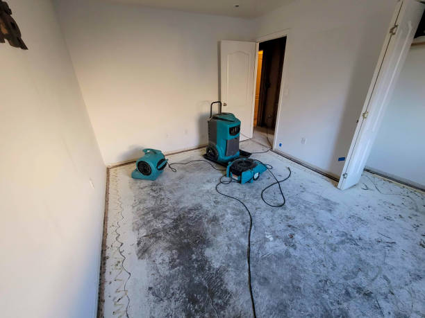 Best Water damage cleanup near me  in Abernathy, TX
