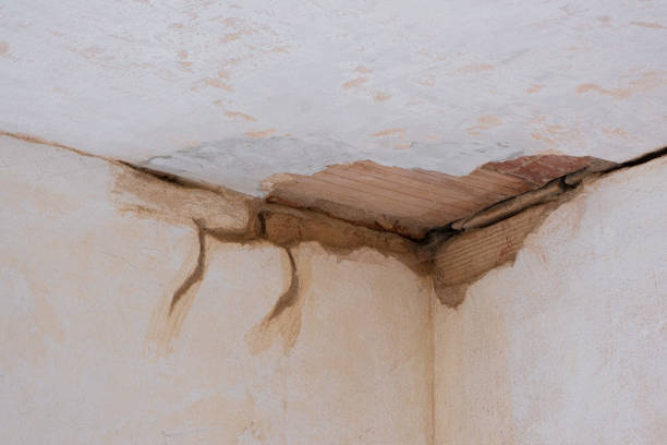 Best Water damage restoration experts  in Abernathy, TX