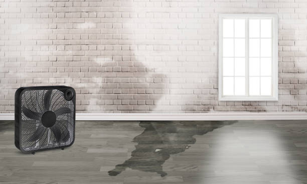 Best Fire Damage Restoration  in Abernathy, TX