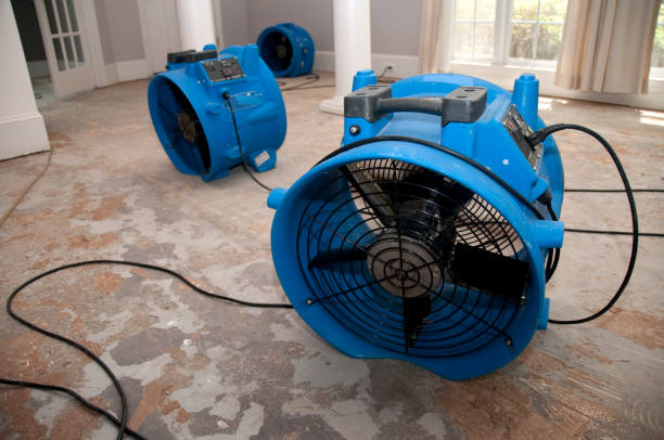  Abernathy, TX Water damage restoration Pros