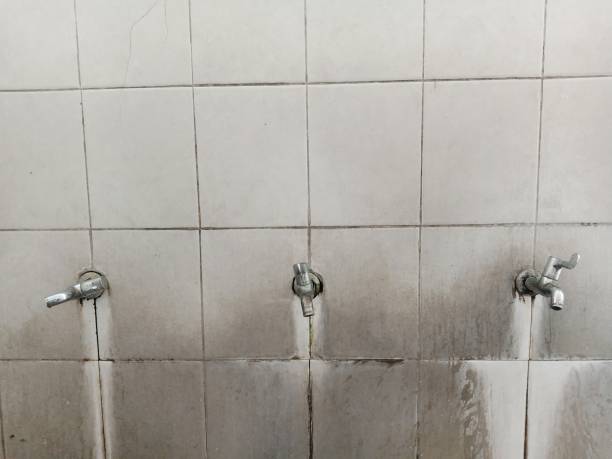 Best Basement water damage restoration  in Abernathy, TX