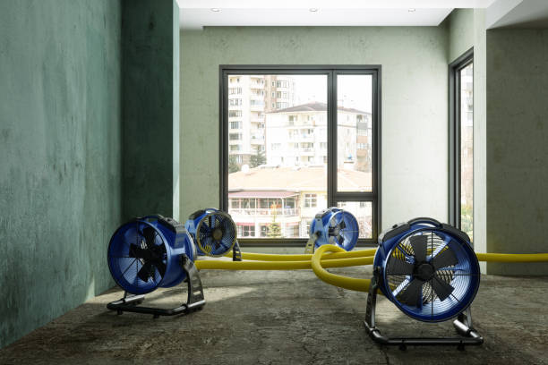 Best Flood restoration services  in Abernathy, TX